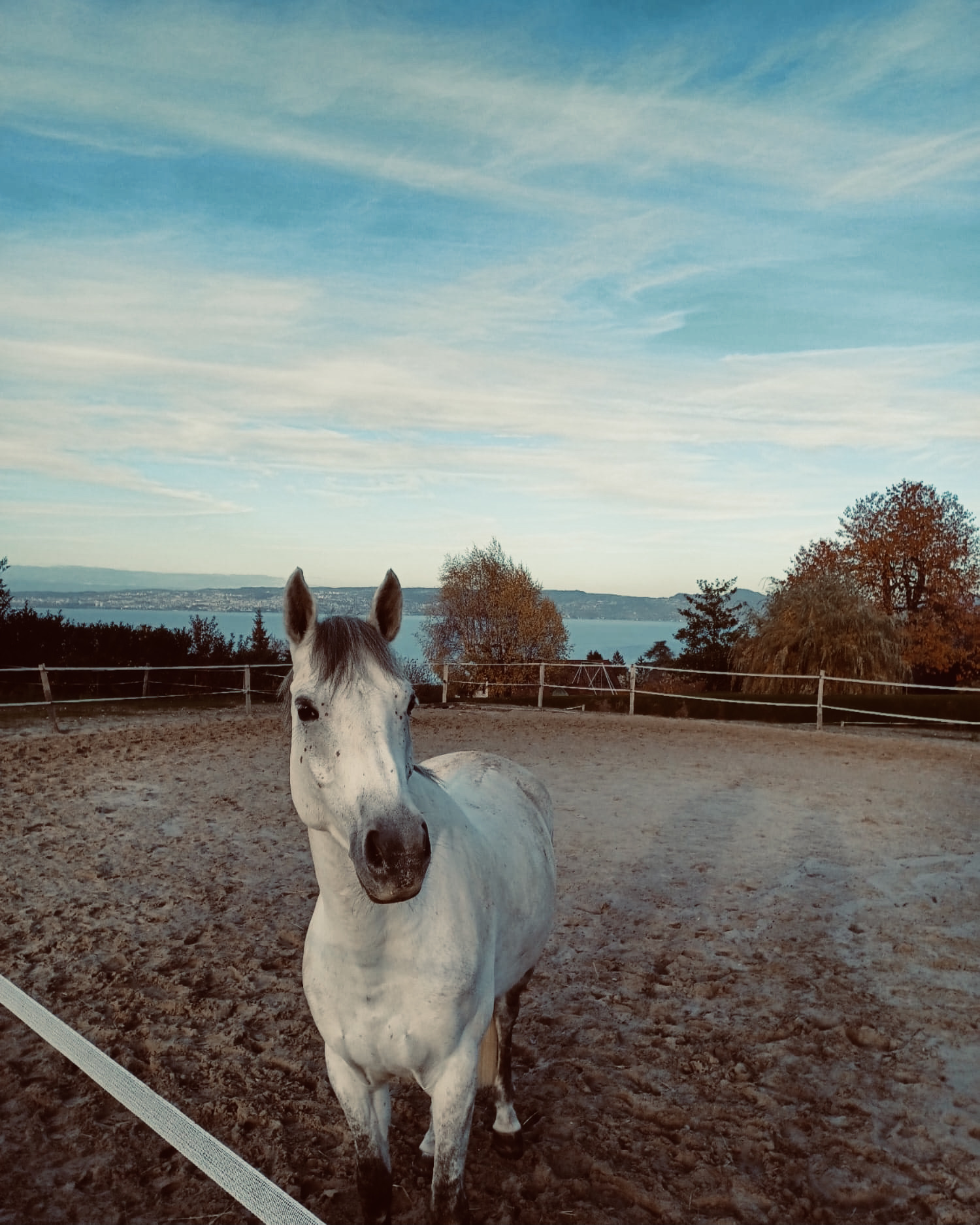 Manège Equi Libre